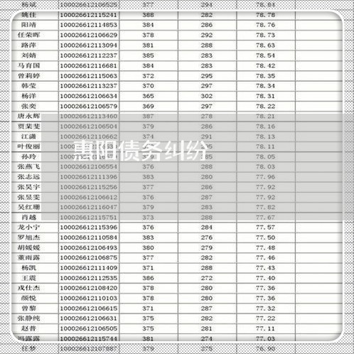 惠阳债务纠纷/2023122052582