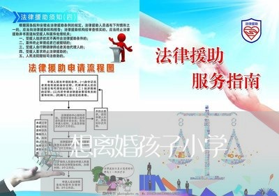 想离婚孩子小学/2023121794137