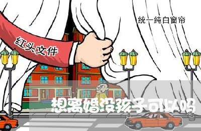 想离婚没孩子可以吗/2023110336480