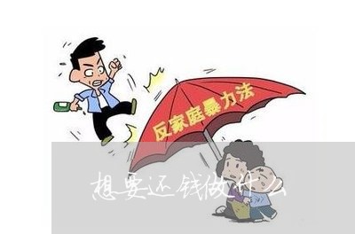 想要还钱做什么/2024010283583