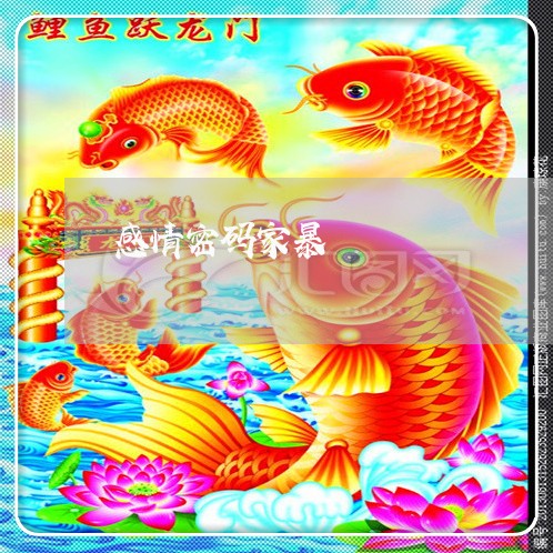 感情密码家暴/2023120405917