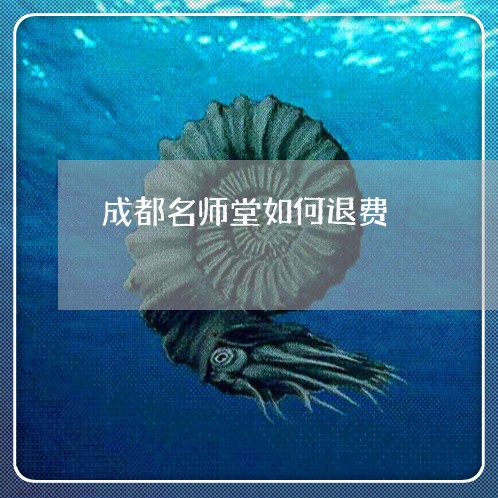 成都名师堂如何退费/2023052598281