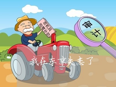 我在东京失恋了/2023091551936