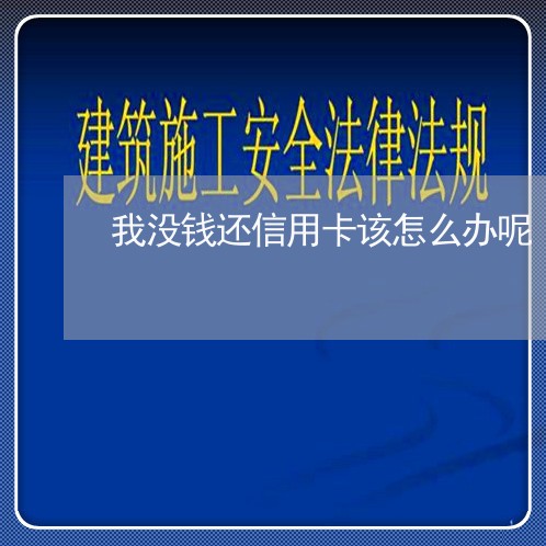 我没钱还信用卡该怎么办呢/2023081361282