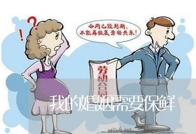 我的婚姻需要保鲜/2023081492807