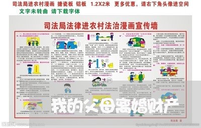 我的父母离婚财产/2023093084928