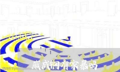 戚成钢有家暴吗/2023091322602