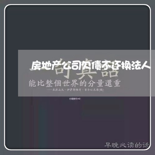 房地产公司欠债不还换法人/2023110781593