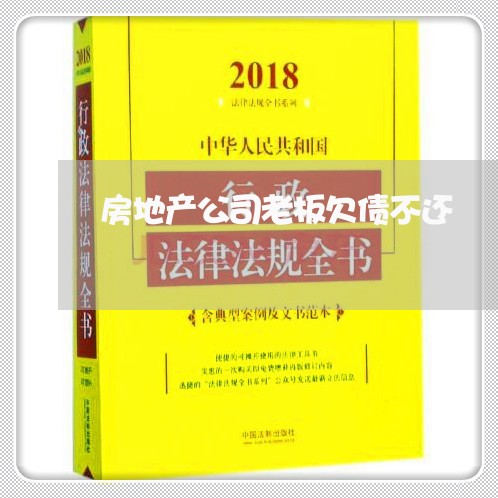 房地产公司老板欠债不还/2023111135048