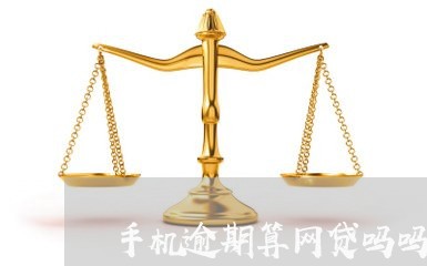 手机逾期算网贷吗吗上海/2023110736957