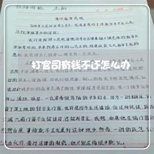 打官司有钱不还怎么办/2023092995805