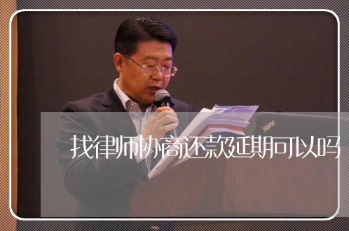 找律师协商还款延期可以吗/2023100614915