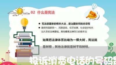 投诉消费电话的号码是多少/2023030841696