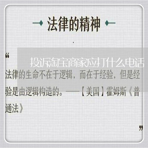 投诉淘宝商家应打什么电话/2023022247349