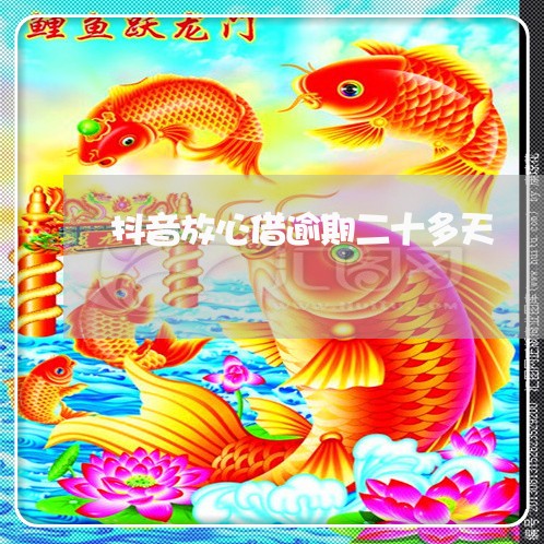 抖音放心借逾期二十多天/2023080484240