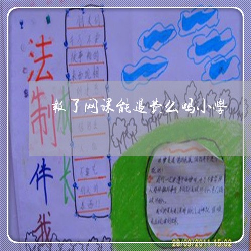 报了网课能退费么吗小学/2023062122806