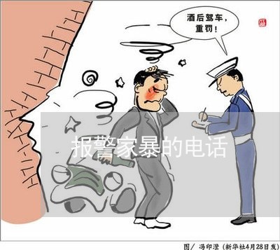 报警家暴的电话/2023091238150