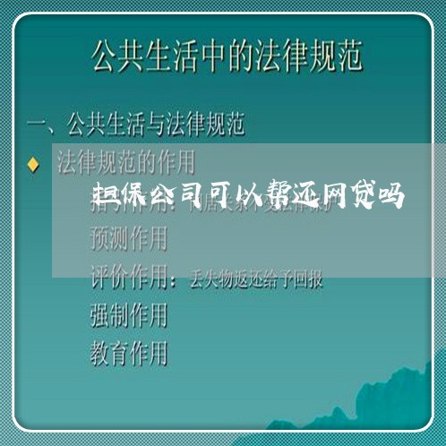 担保公司可以帮还网贷吗/2023111680915