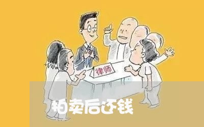 拍卖后还钱/2023121661592