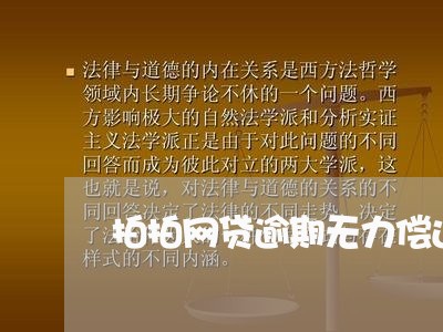 拍拍网贷逾期无力偿还怎么处理/2023080259403