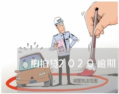 拍拍贷2020逾期/2023062988571