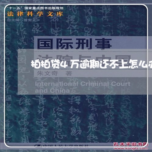 拍拍贷4万逾期还不上怎么办/2023053068271