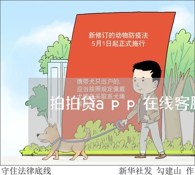 拍拍贷app在线客服在哪里/2023032435915