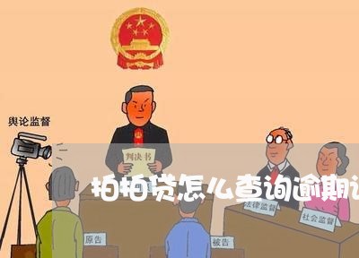 拍拍贷怎么查询逾期记录/2023062263816