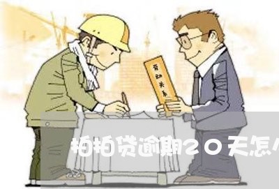 拍拍贷逾期20天怎么办/2023080281705