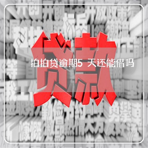 拍拍贷逾期5天还能借吗/2023062259481