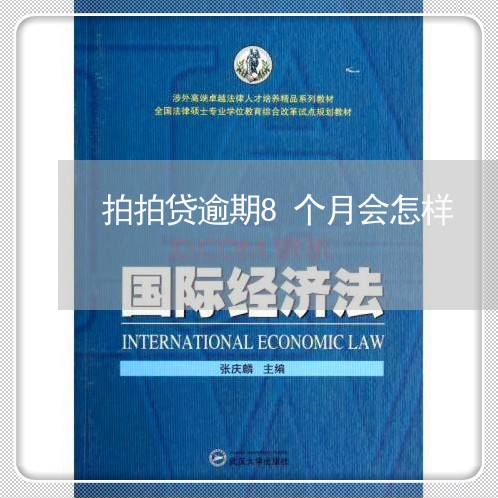 拍拍贷逾期8个月会怎样/2023062393815