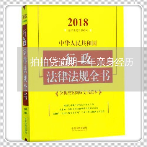 拍拍贷逾期一年亲身经历/2023062293715