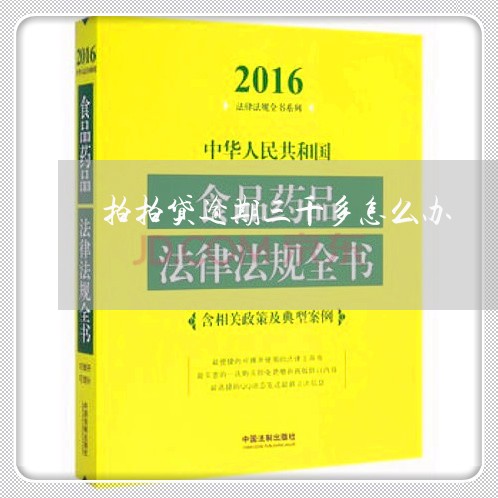 拍拍贷逾期三千多怎么办/2023062317137