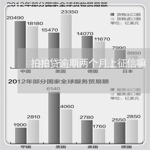 拍拍贷逾期两个月上征信嘛/2023080315948