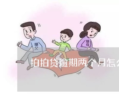 拍拍贷逾期两个月怎么办/2023062273824