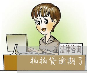 拍拍贷逾期了一年怎么办/2023062261803