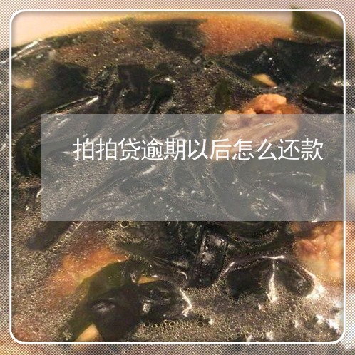 拍拍贷逾期以后怎么还款/2023062211493