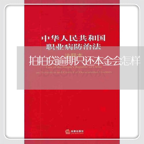 拍拍贷逾期只还本金会怎样/2023052684928