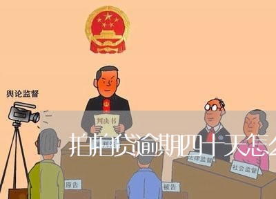 拍拍贷逾期四十天怎么办/2023080296340