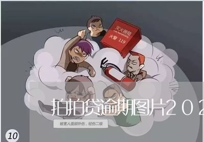 拍拍贷逾期图片2021年/2023052639383