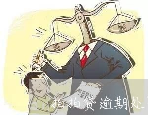 拍拍贷逾期处罚规定/2023060840269