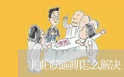 拍拍贷逾期怎么解决/2023062962806