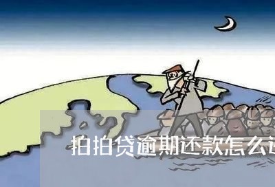 拍拍贷逾期还款怎么还款吗/2023071468189