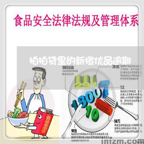 拍拍贷里的新橙优品逾期/2023062363825