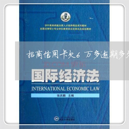 招商信用卡欠6万多逾期多久起诉/2023061547283