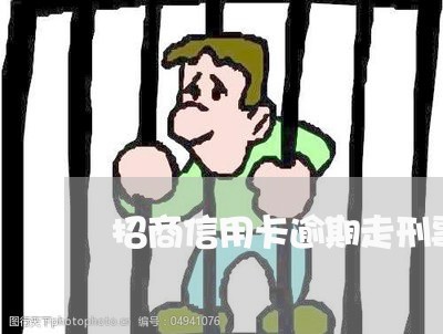 招商信用卡逾期走刑事/2023112662404