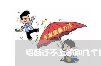 招商还不上逾期几个月了怎么协商/2023071424030