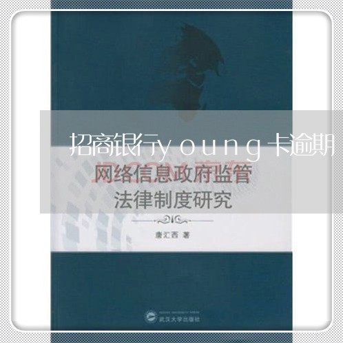 招商银行young卡逾期/2023052853835