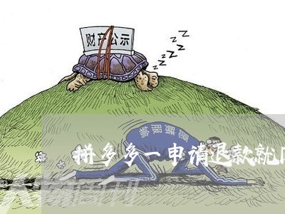 拼多多一申请退款就同意退款/2023033130469