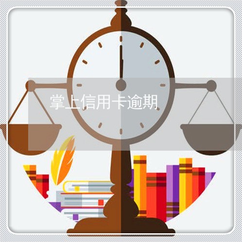 掌上信用卡逾期/2023111738379